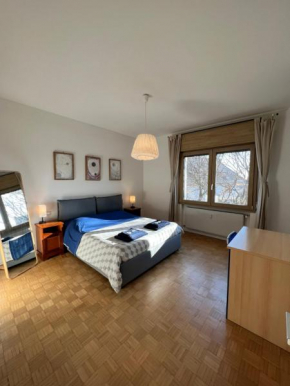 Appartamento Centro Conegliano Eleganza e Comfort Conegliano